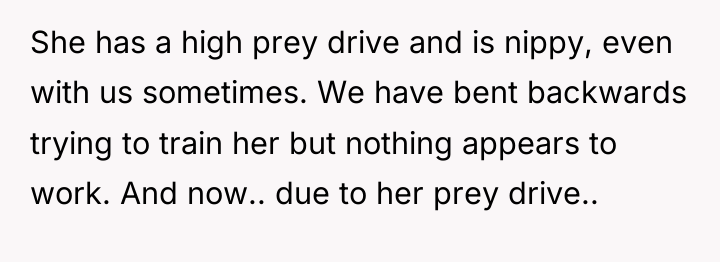She has a high prey drive and is nippy, even...