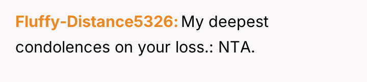 Fluffy-Distance5326 My deepest condolences on your loss.: NTA.
