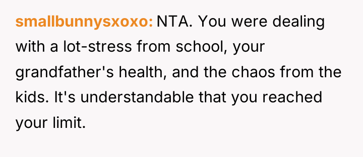 smallbunnysxoxo NTA. You were dealing with a lot-stress from school,...