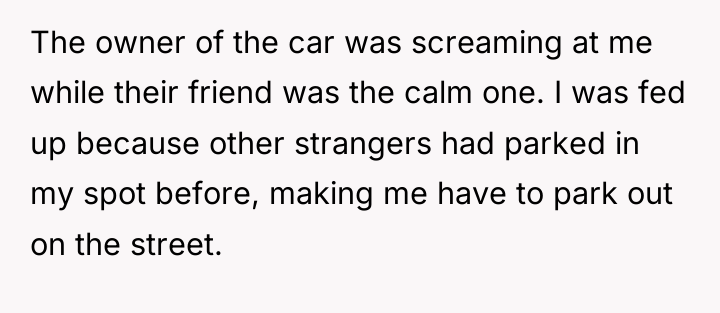 The owner of the car was screaming at me while...