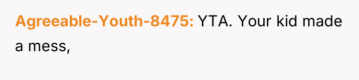 Agreeable-Youth-8475 YTA. Your kid made a mess,