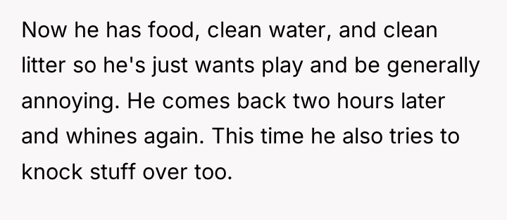 Now he has food, clean water, and clean litter so...
