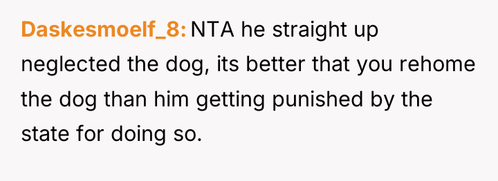 Daskesmoelf_8 NTA he straight up neglected the dog, its better...