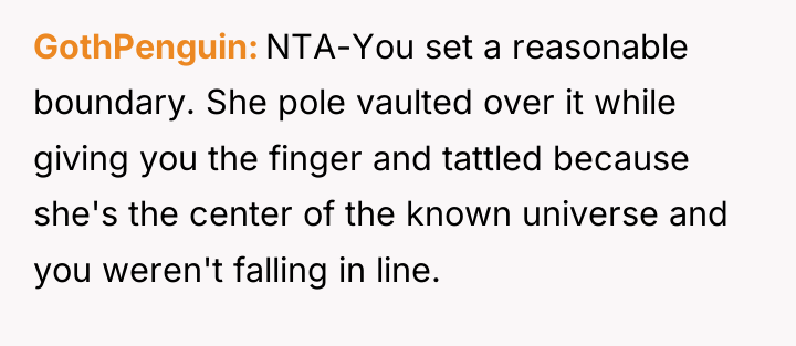 GothPenguin NTA-You set a reasonable boundary. She pole vaulted over...