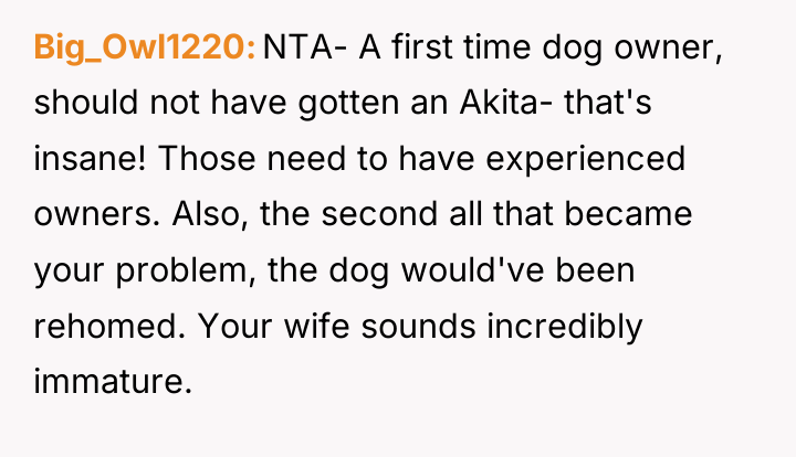 Big_Owl1220 NTA- A first time dog owner, should not have...
