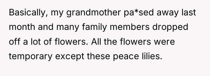 Basically, my grandmother pa*sed away last month and many family...