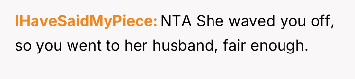 IHaveSaidMyPiece NTA She waved you off, so you went to...