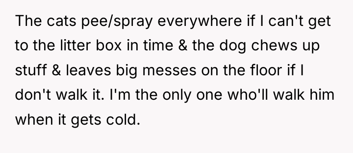 The cats pee/spray everywhere if I can't get to the...