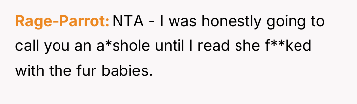 Rage-Parrot NTA - I was honestly going to call you...