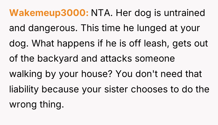 Wakemeup3000 NTA. Her dog is untrained and dangerous. This time...