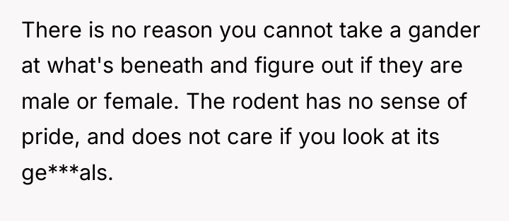 There is no reason you cannot take a gander at...