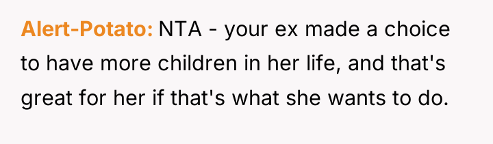 Alert-Potato NTA - your ex made a choice to have...