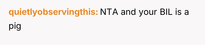 quietlyobservingthis NTA and your BIL is a pig