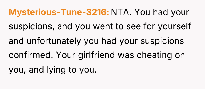 Mysterious-Tune-3216 NTA. You had your suspicions, and you went to...