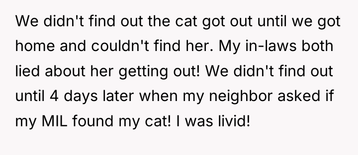 We didn't find out the cat got out until we...