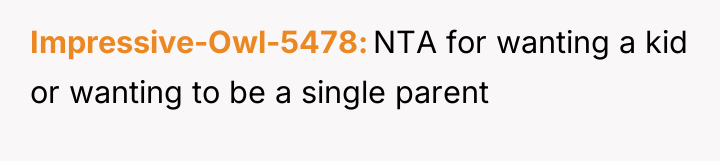 Impressive-Owl-5478 NTA for wanting a kid or wanting to be...