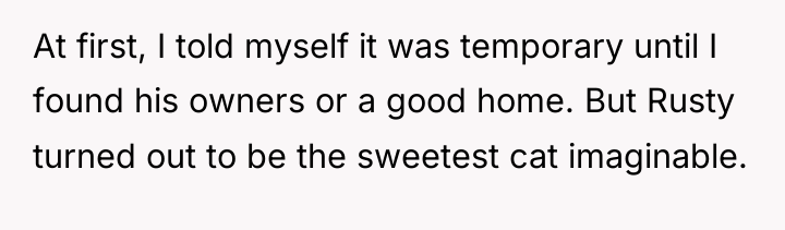 At first, I told myself it was temporary until I...