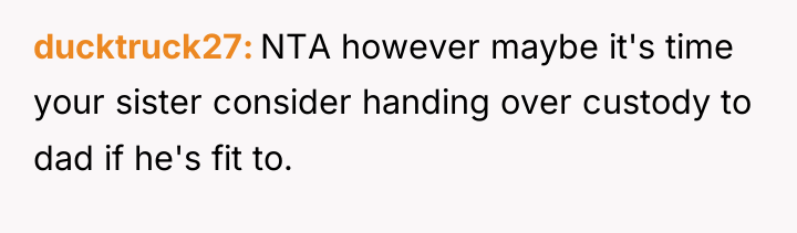 ducktruck27 NTA however maybe it's time your sister consider handing...