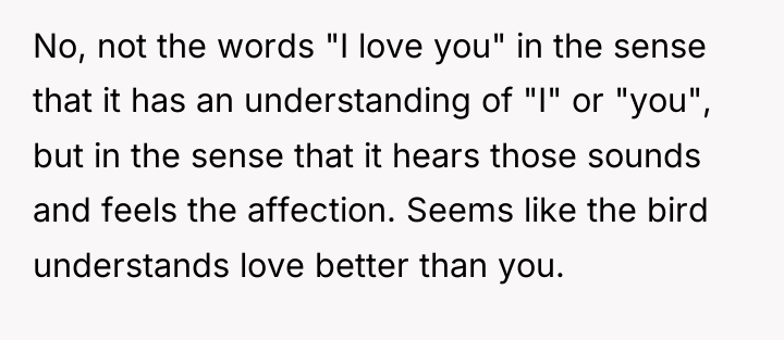 No, not the words "I love you" in the sense...