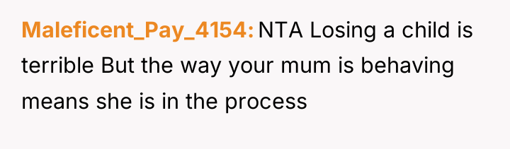 Maleficent_Pay_4154 NTA Losing a child is terrible But the way...
