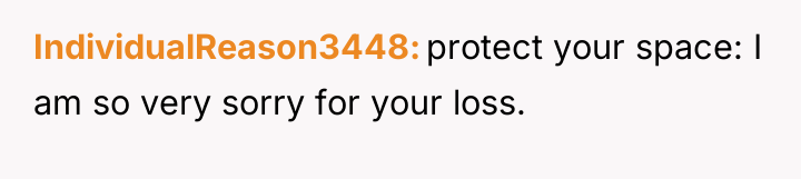 IndividualReason3448 protect your space: I am so very sorry for...