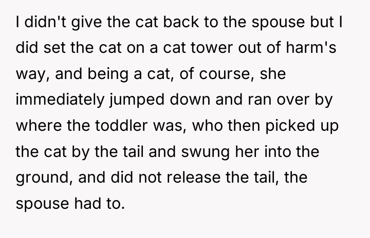 I didn't give the cat back to the spouse but...