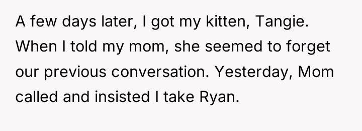 A few days later, I got my kitten, Tangie. When...