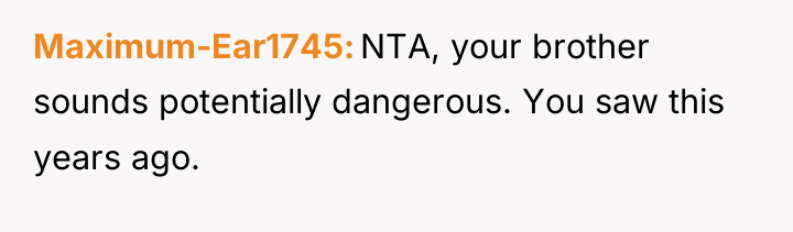 Maximum-Ear1745 NTA, your brother sounds potentially dangerous. You saw this...