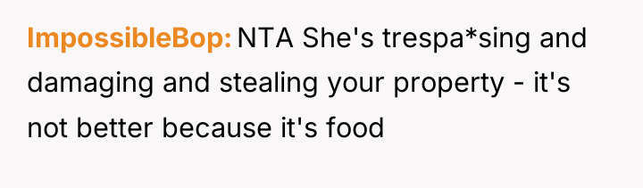 ImpossibleBop NTA She's trespa*sing and damaging and stealing your property...