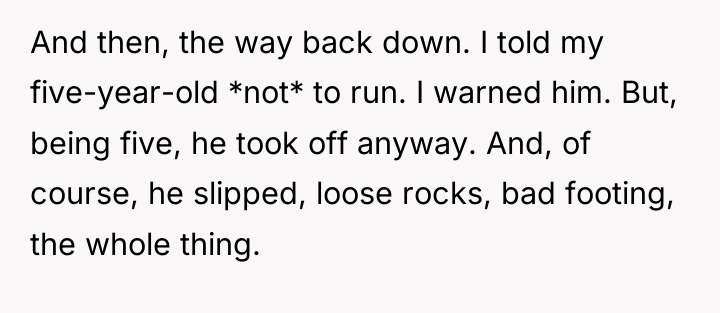 And then, the way back down. I told my five-year-old...