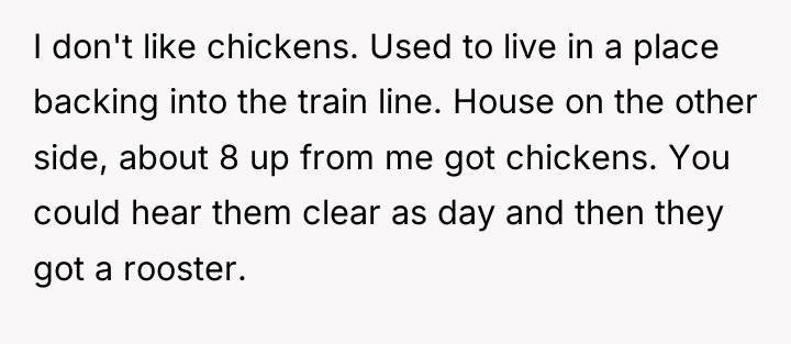 I don't like chickens. Used to live in a place...