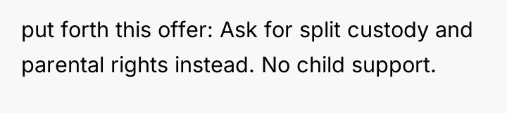 put forth this offer: Ask for split custody and parental...