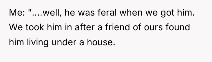 Me: "....well, he was feral when we got him. We...