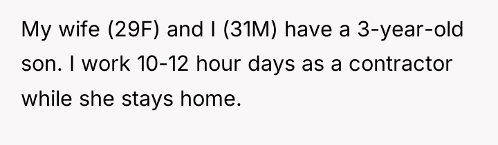 My wife (29F) and I (31M) have a 3-year-old son....