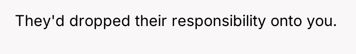 They'd dropped their responsibility onto you.