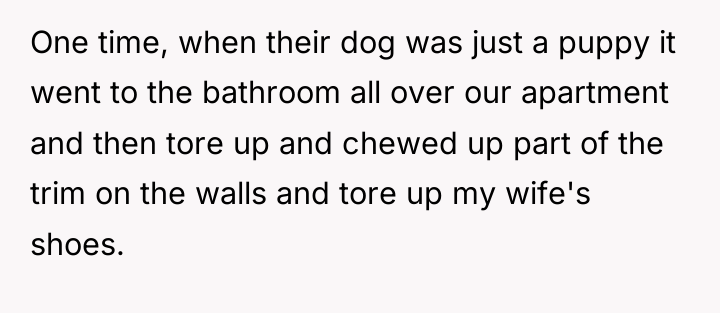 One time, when their dog was just a puppy it...