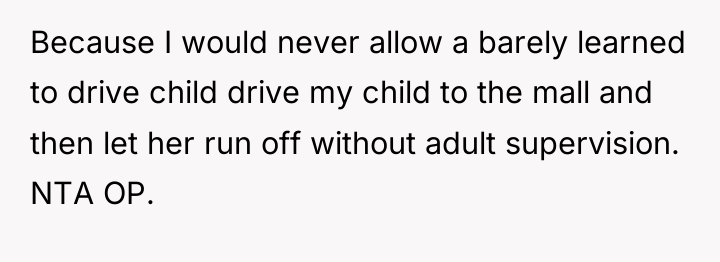 Because I would never allow a barely learned to drive...