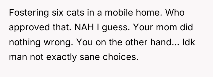 Fostering six cats in a mobile home. Who approved that....