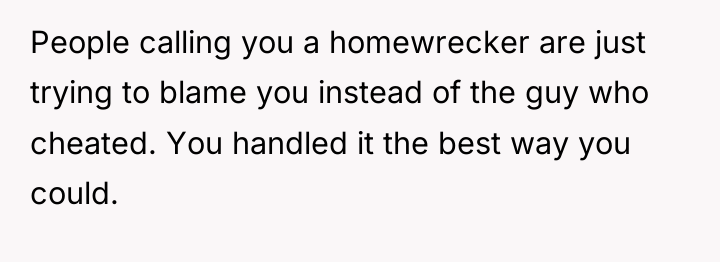 People calling you a homewrecker are just trying to blame...