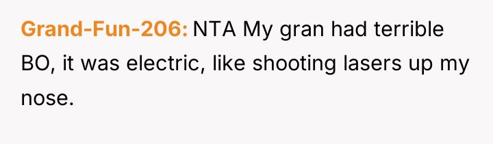 Grand-Fun-206 NTA My gran had terrible BO, it was electric,...