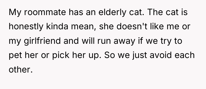 My roommate has an elderly cat. The cat is honestly...