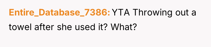 Entire_Database_7386 YTA Throwing out a towel after she used it?...