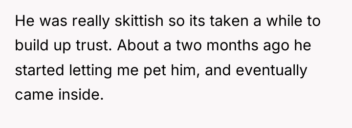 He was really skittish so its taken a while to...