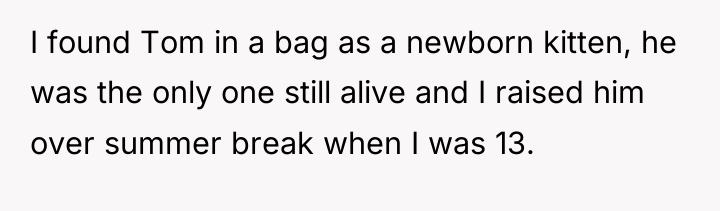 I found Tom in a bag as a newborn kitten,...