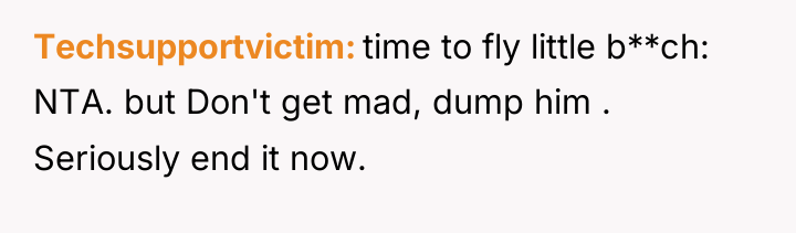 Techsupportvictim time to fly little b**ch: NTA. but Don't get...