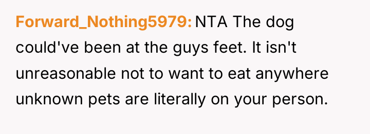 Forward_Nothing5979 NTA The dog could've been at the guys feet....