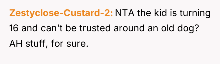 Zestyclose-Custard-2 NTA the kid is turning 16 and can't be...