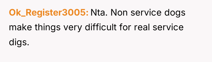 Ok_Register3005 Nta. Non service dogs make things very difficult for...