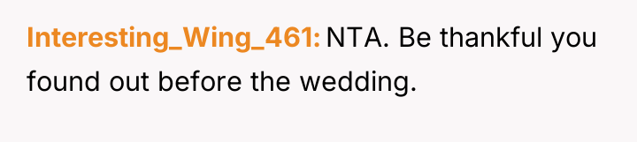 Interesting_Wing_461 NTA. Be thankful you found out before the wedding.