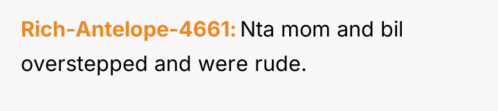 Rich-Antelope-4661 Nta mom and bil overstepped and were rude.